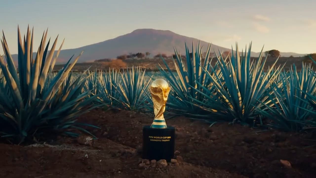 How Bryan Fellows Tracked 90 Days of Production Expenses