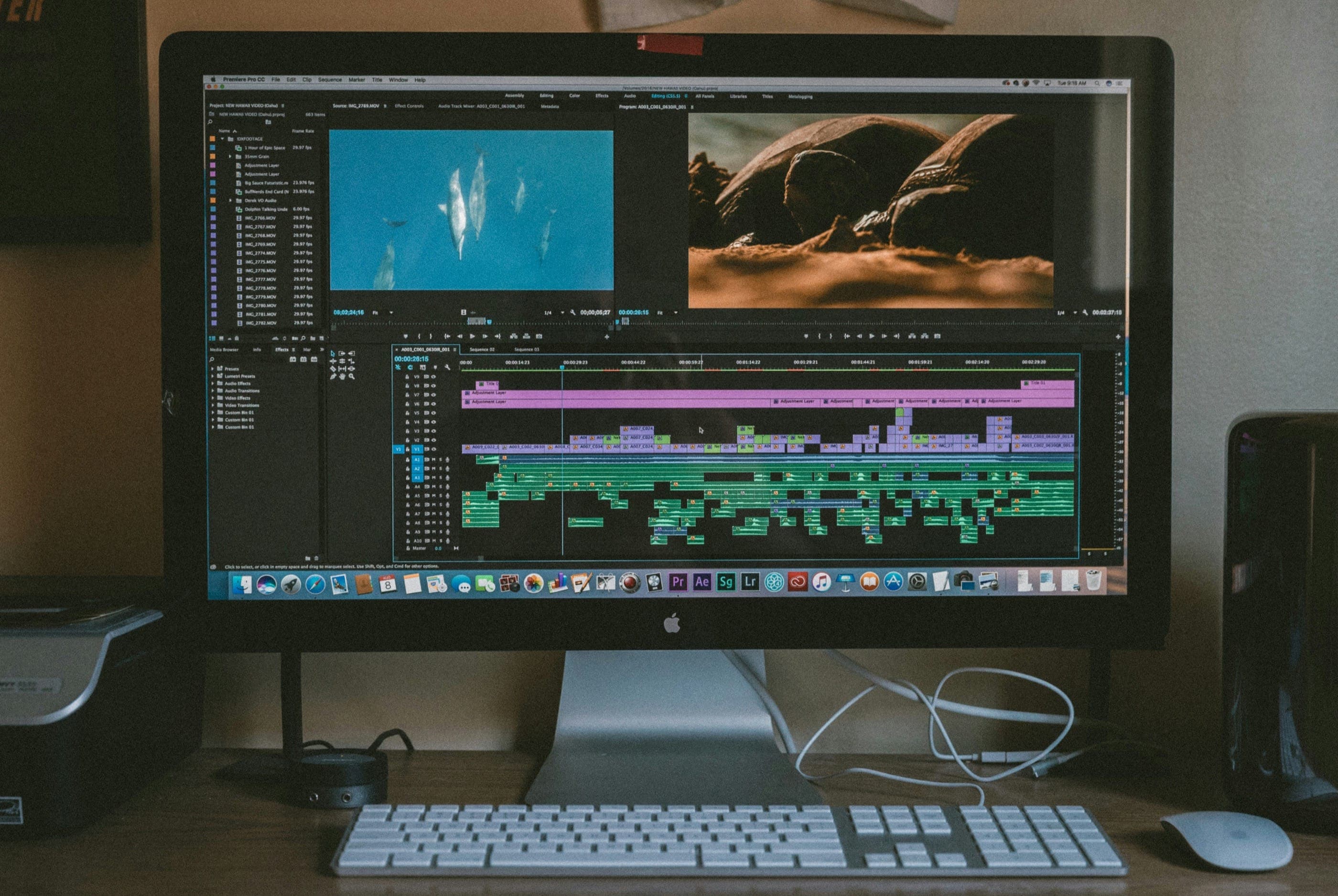 Film Editor